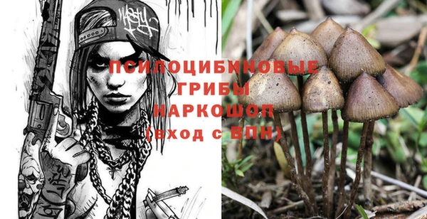 ГАЛЛЮЦИНОГЕННЫЕ ГРИБЫ Медногорск
