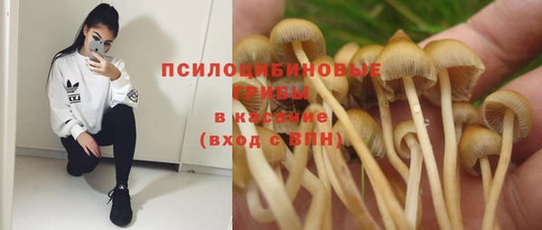 ГАЛЛЮЦИНОГЕННЫЕ ГРИБЫ Медногорск