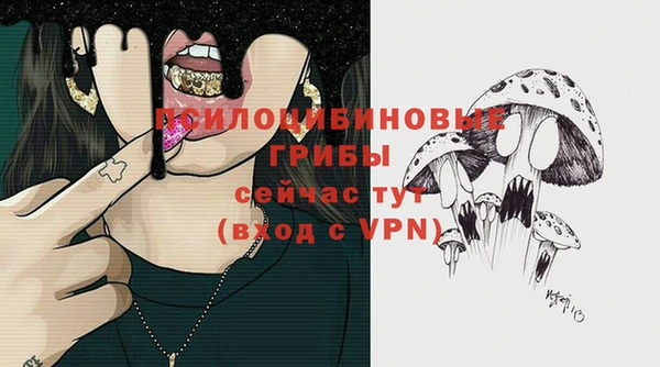 ГАЛЛЮЦИНОГЕННЫЕ ГРИБЫ Медногорск