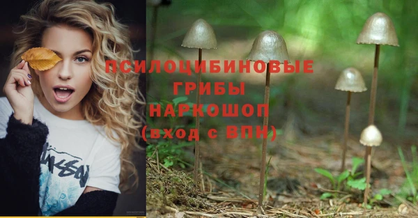 ГАЛЛЮЦИНОГЕННЫЕ ГРИБЫ Медногорск