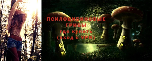 мет Медвежьегорск