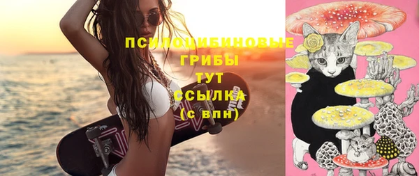 эйфоретик Мегион