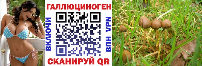 цена наркотик  Серафимович  Галлюциногенные грибы прущие грибы 